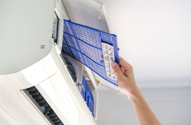 Best Air Duct Sanitizing Services  in Vancleave, MS